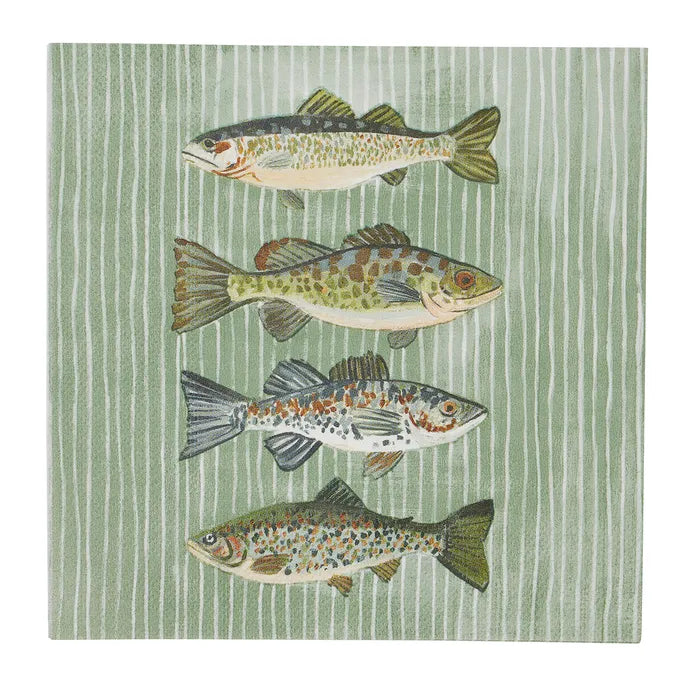 Shad 20pk 3 Ply 33cm Napkin Multi - Roma Gift & Gourmet