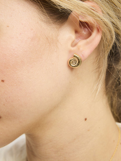 Gold Sundial Shell Earring